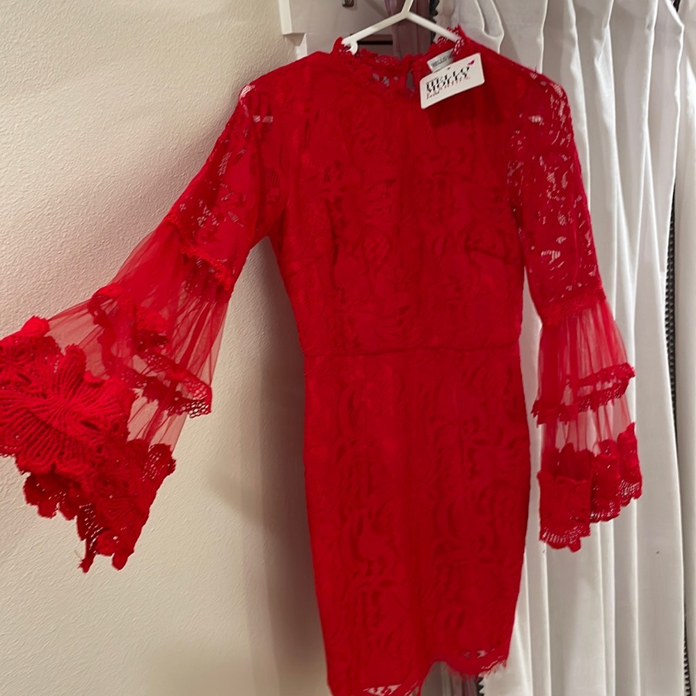 Red lace body dress✨